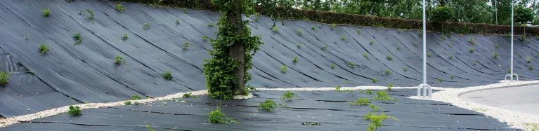Mata antychwastowa – kiedy warto z niej skorzystać?